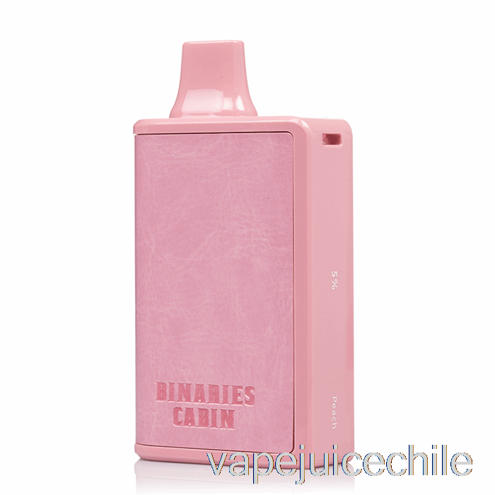 Vape Vhile Horizonte Binarios Cabina 10000 Melocotón Desechable